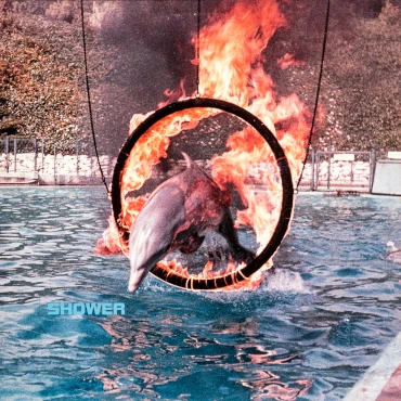 Cover von Shower - dolphin fire hoop jump